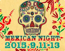 MEXICAN NIGHT LVJiCg